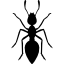 ant