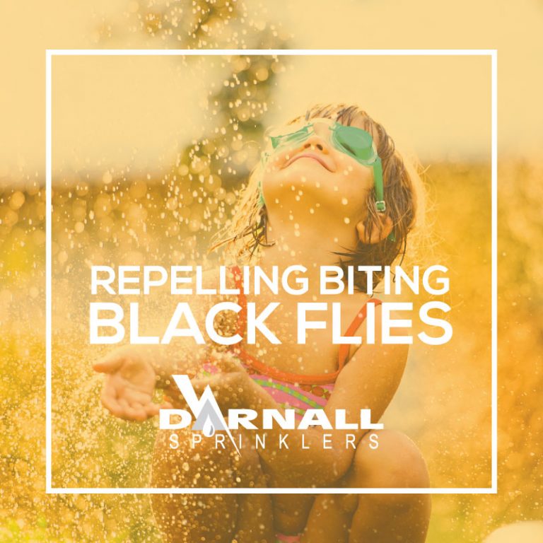 Repelling Biting Black Flies Darnall Sprinklers