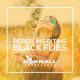 Black Flies