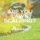 Lawn Scalping Tips