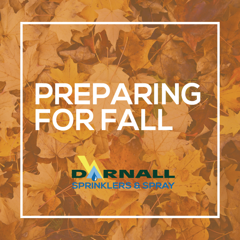 Prepare your lawn for fall